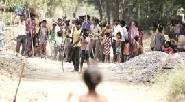 sitapur dog attack, uttar pradesh dog attack, up kids mauled by dogs, Bhagautipur village