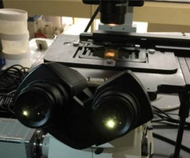 Micro thermometer, Japan Institute of Technology, nanoscale heat source, thermocouple, gold, laser, nickel, electron beam, heat transport behavior