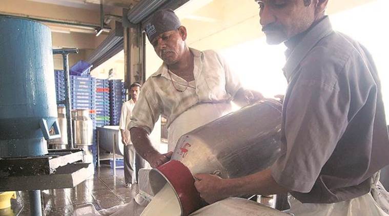maharashtra milk prices, maharashtra milk dairies, maharashtra milk producers, maharashtra dairy farmers