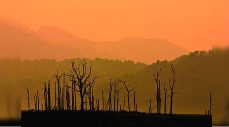 One With the Jungle, Jim Corbett National Park, Corbett National Park, Durgadevi gate, Marchula village, Van Ghat, Ramganga, indian express, indian express news