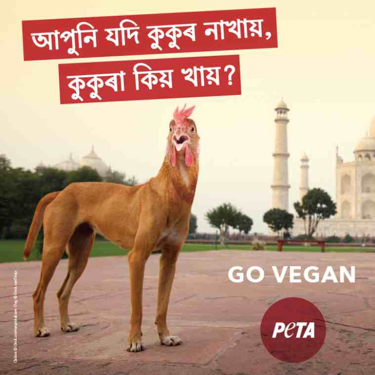 PETA billboard in Assam, PETA, Northeast dog smuggling, Assam