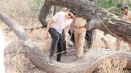 pune bird sanctuary encroachment, pune news, pune municipal commissioner, dr salim ali bird sanctuary, indian express