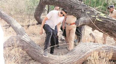 pune bird sanctuary encroachment, pune news, pune municipal commissioner, dr salim ali bird sanctuary, indian express