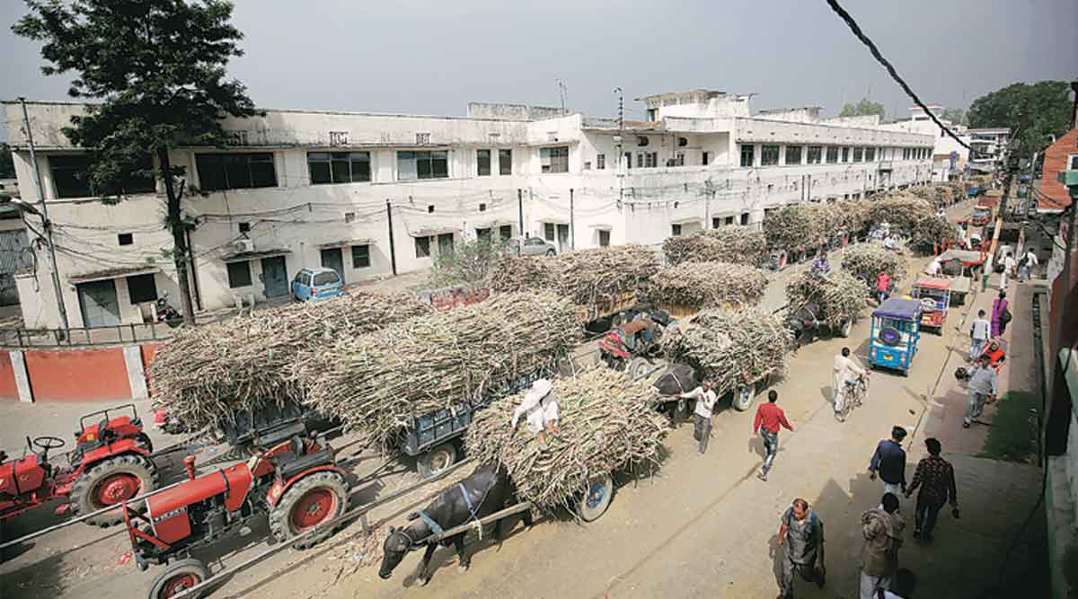 bajaj sugar mill