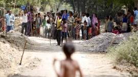 Dogs leave Sitapur in fear, 18 teams, WWF, vets on ground