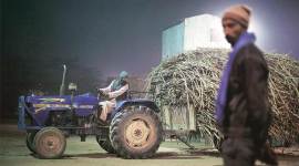 Sugar export: Only 24% target met as crushing season enters last leg