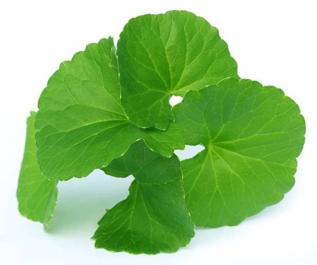 ayurvedic superfoods, benefits of ayurvedic foods, ginger benefits, ghee benefits, almond benefits, saffron benefits, brahmi benefits, indian express, indian express news