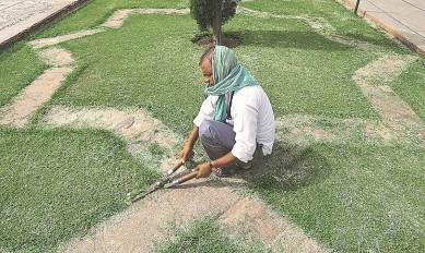 Horticulture: 53 |41 ASI members (experts and gardeners) and 12 labourers. Experts decide the design for Taj’s gardens and select the flora for the area. (Express photo/Abhinav Saha)