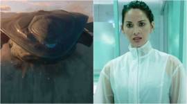 first trailer of the predator has been released