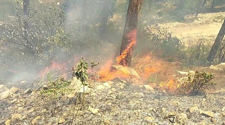 Uttarakhand: Forest Fires Burn More Than 2000 Hectares Of Land, CM ...