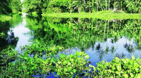 majuli, majuli island, tezpur, northeast india, majuli trip, majuli travel, majuli northeast trip, wanderlust, indian express, indian express news