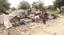 On Yamuna banks, drive to beautify has many worried