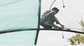 Chhatbir Zoo, Mahendra Chaudhary Zoological Park, chhatbir zoo animals, chandigarh news, mohali news, punjab heat, punjab weather, mohali weather, mohali zoo fogging