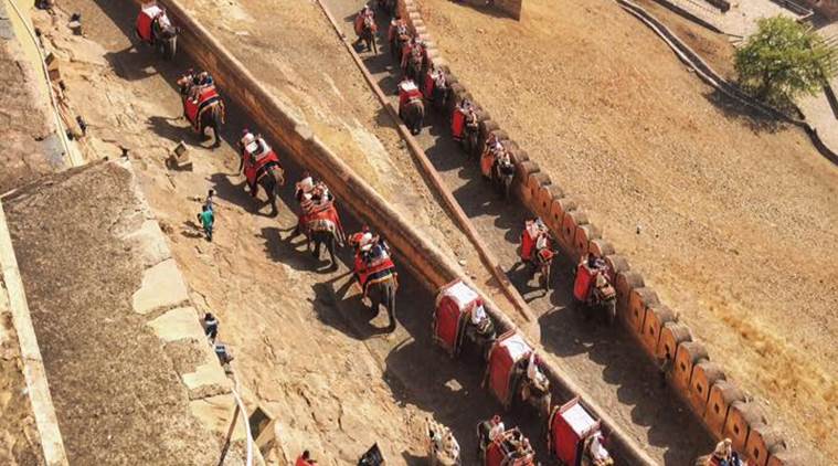 Phase out jumbo rides at Amer fort: Animal body to Raj govt