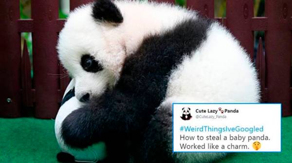 #WeirdThingsIveGoogled, #WeirdThingsIveGoogled trending, google, google trends, what have people googled, weird twitter trends, indian express, indian express news