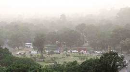 Chandigarh green cover, World Environment Day, Biodiversity index, chandigarh news, Indian express news