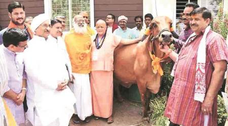 Swami Akhileshwaranand, Madhya Prades, MoS, Cows, Animal Husbanry Department, India News, Shivraj Singh Chouhan, Indian Express