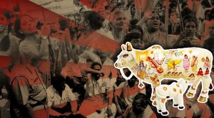 Why the cow is worshipped in Hindutva politics