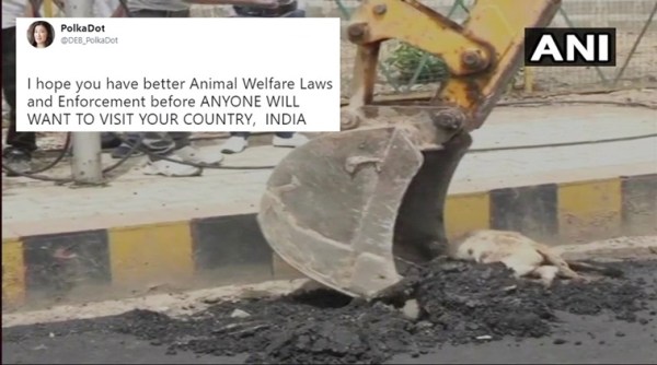 dog buried alive, dog buried alive shocking, shocking news dog buried alive, dog buried alive in agra, alive dog buried under tar in agra, indian express, Indian express news