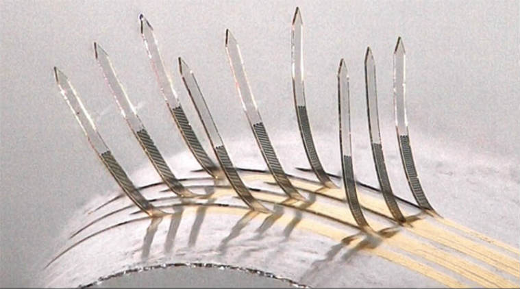 Electronic whiskers, artificial skin, University of Texas Dallas, touch receptors, memory polymers, strain sensors, 3D-sensors, hair-like structures