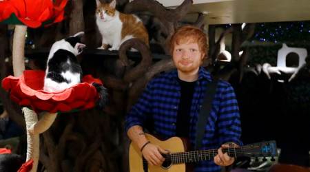 Ed Sheeran wax statue unveiled at cat cafe in London