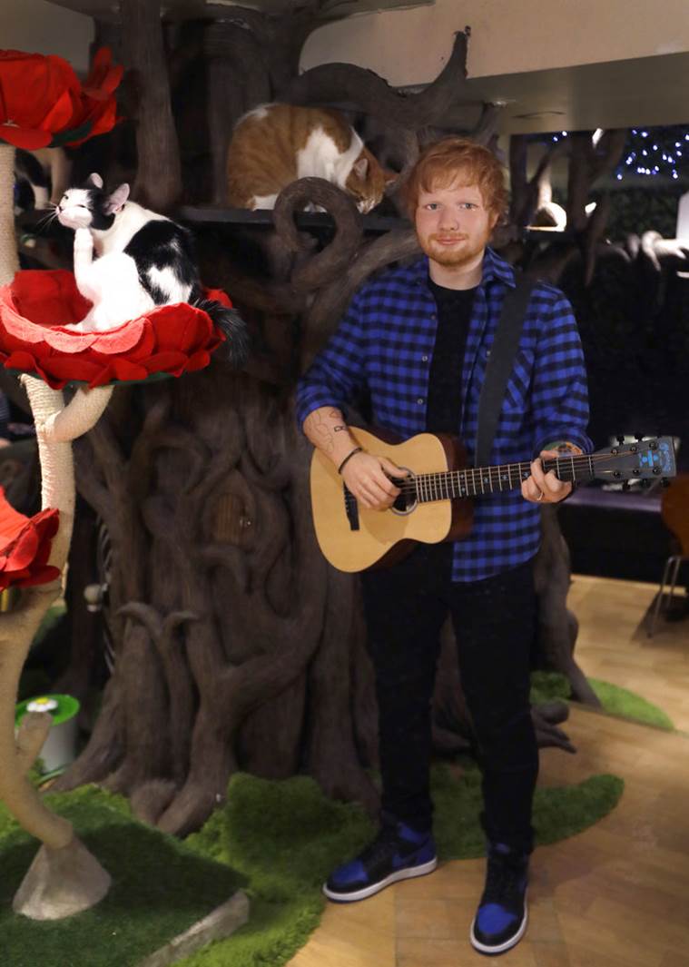 Ed Sheeran wax statue