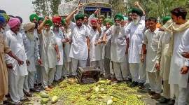 farmers protest 759 Farmers throw vegetables on a road during a protest at Bagha Purana in Moga district of Punjab on Friday. (PTI)