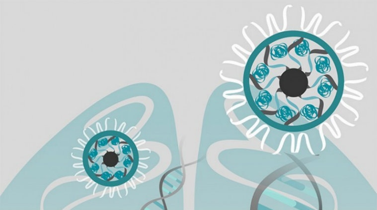 Autism gene edited, CRISPR-Cas9 gene, University of Texas San Antonio, CRISPR-Gold, autism spectrum disorders, DNA cutting, biochemical reactions, neuron communications