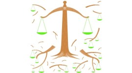 LIMBS is meant to improve the Union government’s handling of cases.