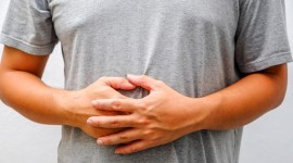 kitchen towels, food poisoning, towels and diseases, towels and poisoning, towels and contamination, clothes and bacteria, food poisoning bacteria, indian express, indian express news