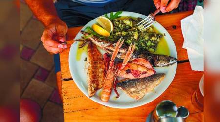 The Terracotta Dog, Andrea Camilleri, Detective Montalbano series, Salvo Montalbano, Sicily, anthropologist Claude Levi-Strauss, historian Fellipe Fernandez Armesto, indian express, indian express news