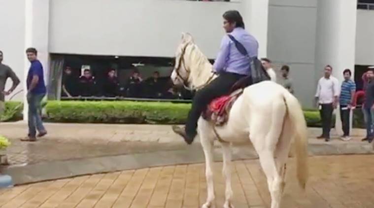 Bengaluru man rides to office horse, Bengaluru horseride viral photo, engineer takes horse to office, viral Bengaluru horse photo, viral stories, indian express, indian express news