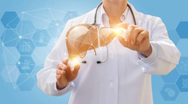 In the liver’s secrets, new hope for medicine