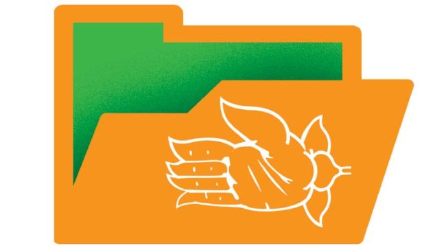 (Illustration: Mithun Chakraborty)