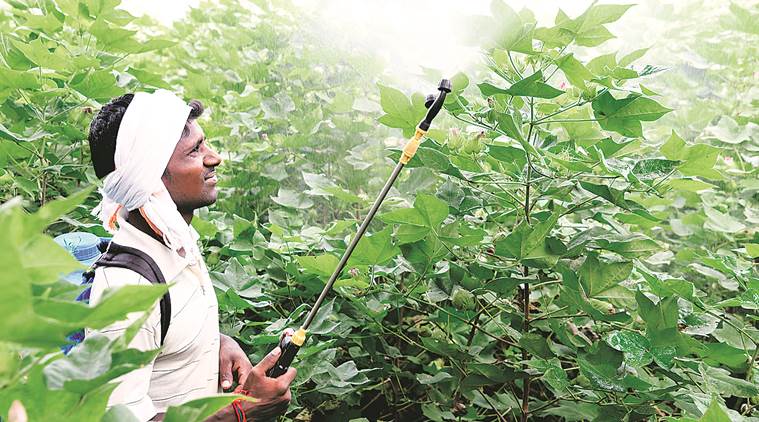 Deaths of last year on its mind, Maharashtra steps up pesticide vigil