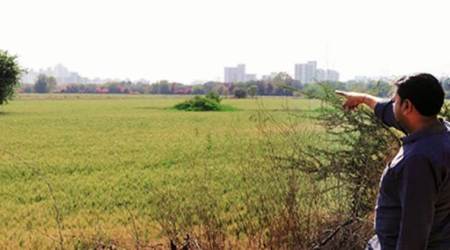  Ashok Yadav points to land that once belonged to his family. His uncle, Naresh Yadav of Naurangpur village, sold their 4 acres for a throwaway Rs 20-25 lakh per acre, he says, following the government’s acquisition notification in 2004. (Express Photo by Manoj Kumar)