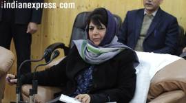 Mehbooba Mufti would be heading the Political Affairs Committee.