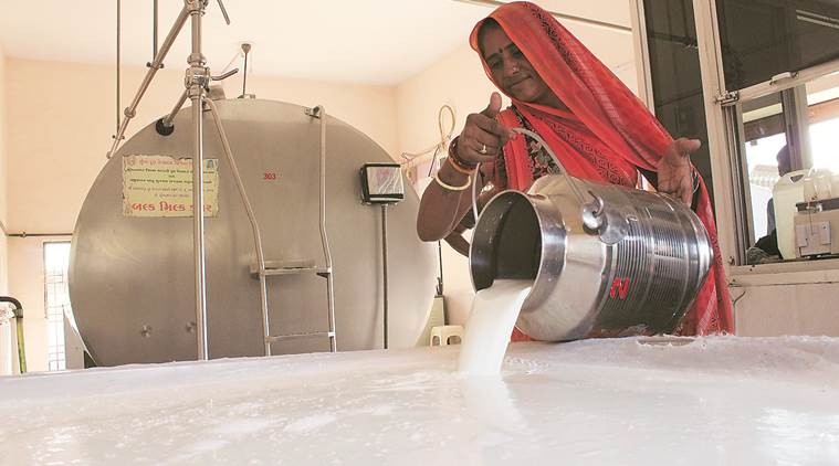 Dairy in Doldrums: Turning milk crisis into an international ‘gift’ opportunity
