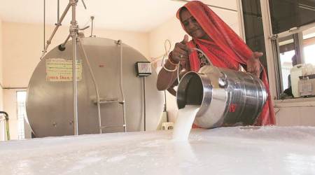 Central government extends ban on import of milk products from China till December