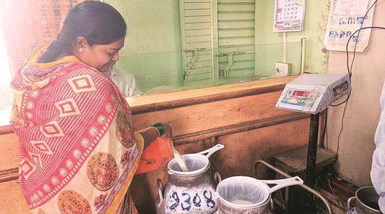 Maharashtra dairies, Maharashtra milk subsidy, Maharashtra milk procurement, Pune news, Gukul, indian express