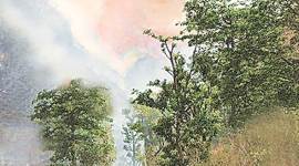Bushfire for adventure: FIR against three students for setting afire dry bushes in wildlife sanctuary