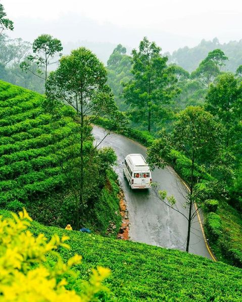 places to visit monsoon, monsoon india, indian monsoon, rainy season, best places to visit monsoon, cheap sort distances places to visit, quick places to visit in monsoon