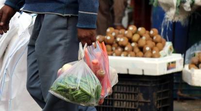 Printed Paper Bag at Rs 10/piece, Printed Paper Bag in Kolhapur