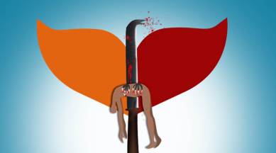 cpm, cpm left, kerala, kerala cpm, left parties in india, TP Chandrasekharan, TP Chandrasekharan killing, left ideology, communist party of india (marxist), pinarayi vijayan, communist party in kerala, india news, indian express news