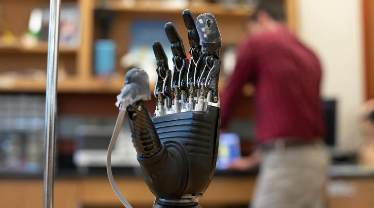 Prosthetic limbs, electronic skin, Johns Hopkins University, robotic hands, control mechanisms, prosthetic designs, brain activity, nervous stimulation, neuroreceptors