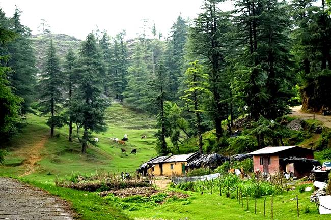 places to visit monsoon, monsoon india, indian monsoon, rainy season, best places to visit monsoon, cheap sort distances places to visit, quick places to visit in monsoon