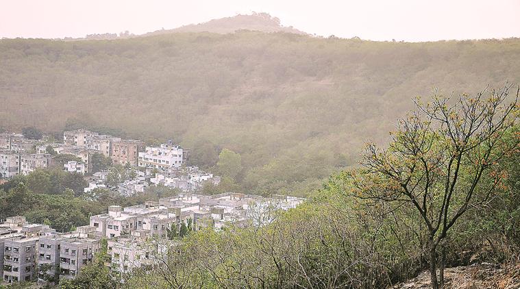 Protecting Pune’s Urban Forests: A decade of increasing encroachments, stuttering efforts and withheld funds