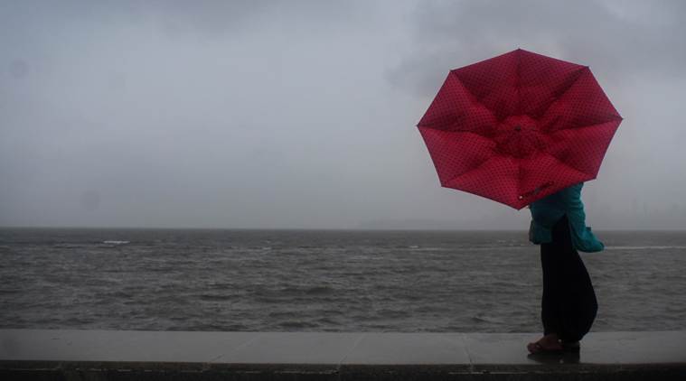 Mumbai: One dead, 4 injured as tree falls, more showers likely till Thursday