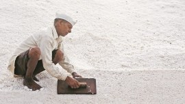 Salt Pan Workers, salt, Wadala Chembur Road, Mumbai news, indian express news