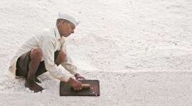 Salt Pan Workers, salt, Wadala Chembur Road, Mumbai news, indian express news